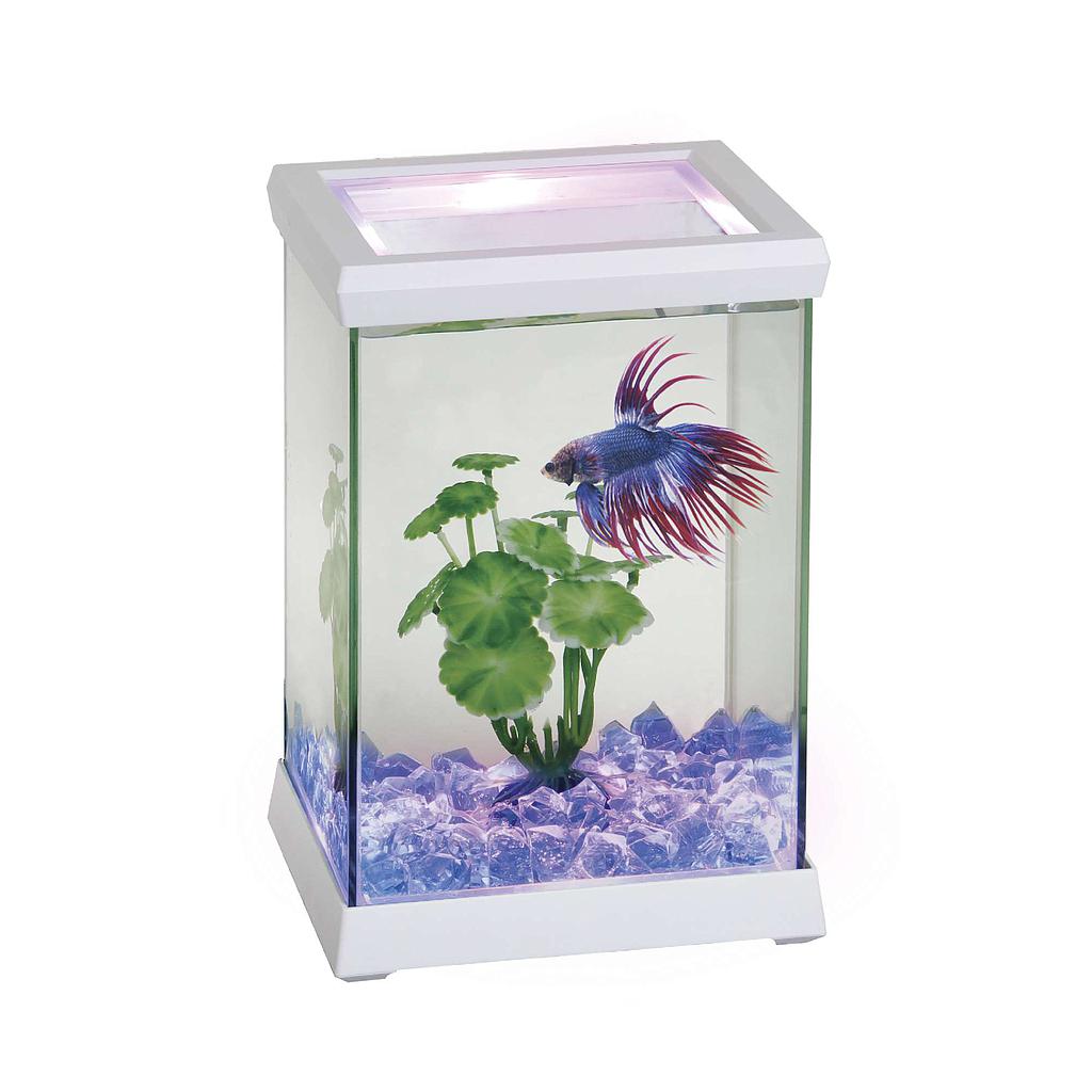 Betta Space LED