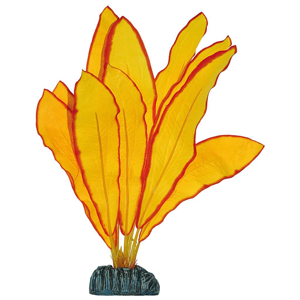 Echinodorus de AQUATIC PLANTS (SEDA) amarillo 20cm