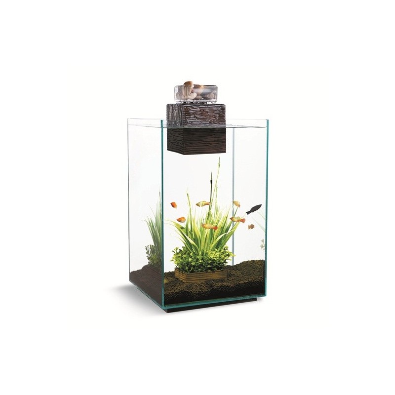 Acuario Fluval Chi