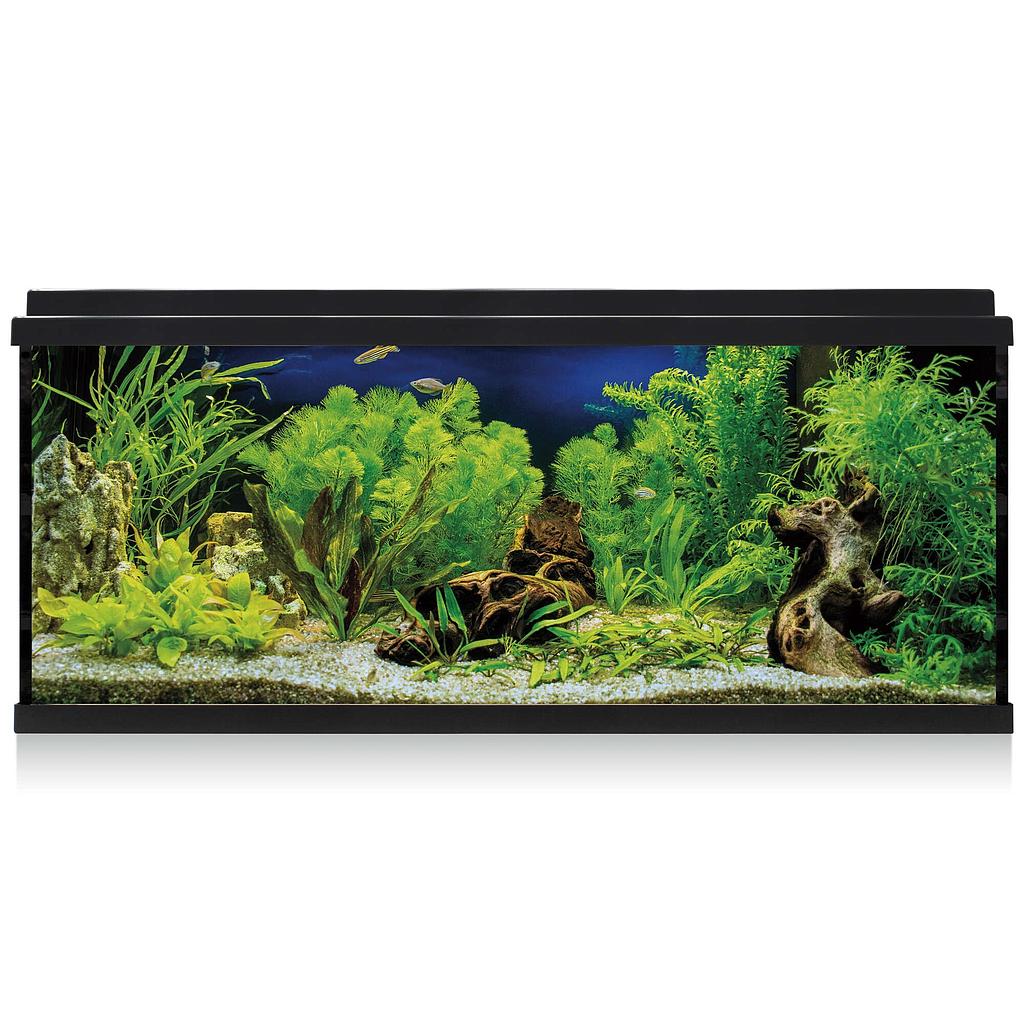 Kit AQUA LED 100 con filtro interior (100 l)
