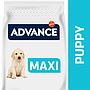 ADVANCE Maxi Puppy