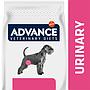 ADVANCE PERRO VET Urinary