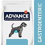 ADVANCE VET Gastroenteric